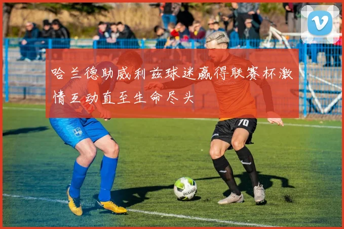 哈兰德助威利兹球迷赢得联赛杯激情互动直至生命尽头